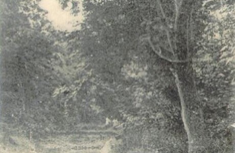 Img original 466